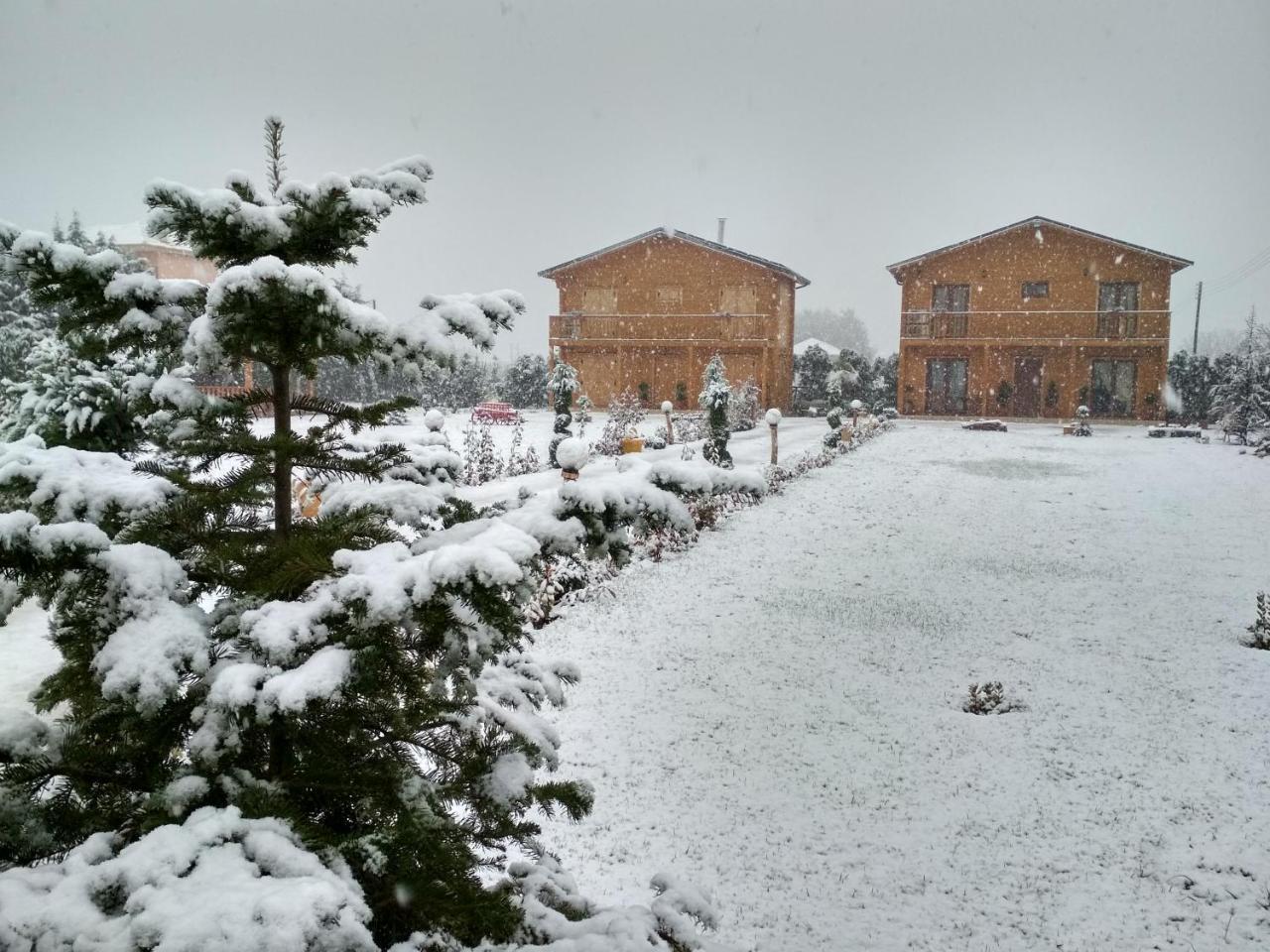 Chalet Kastor
