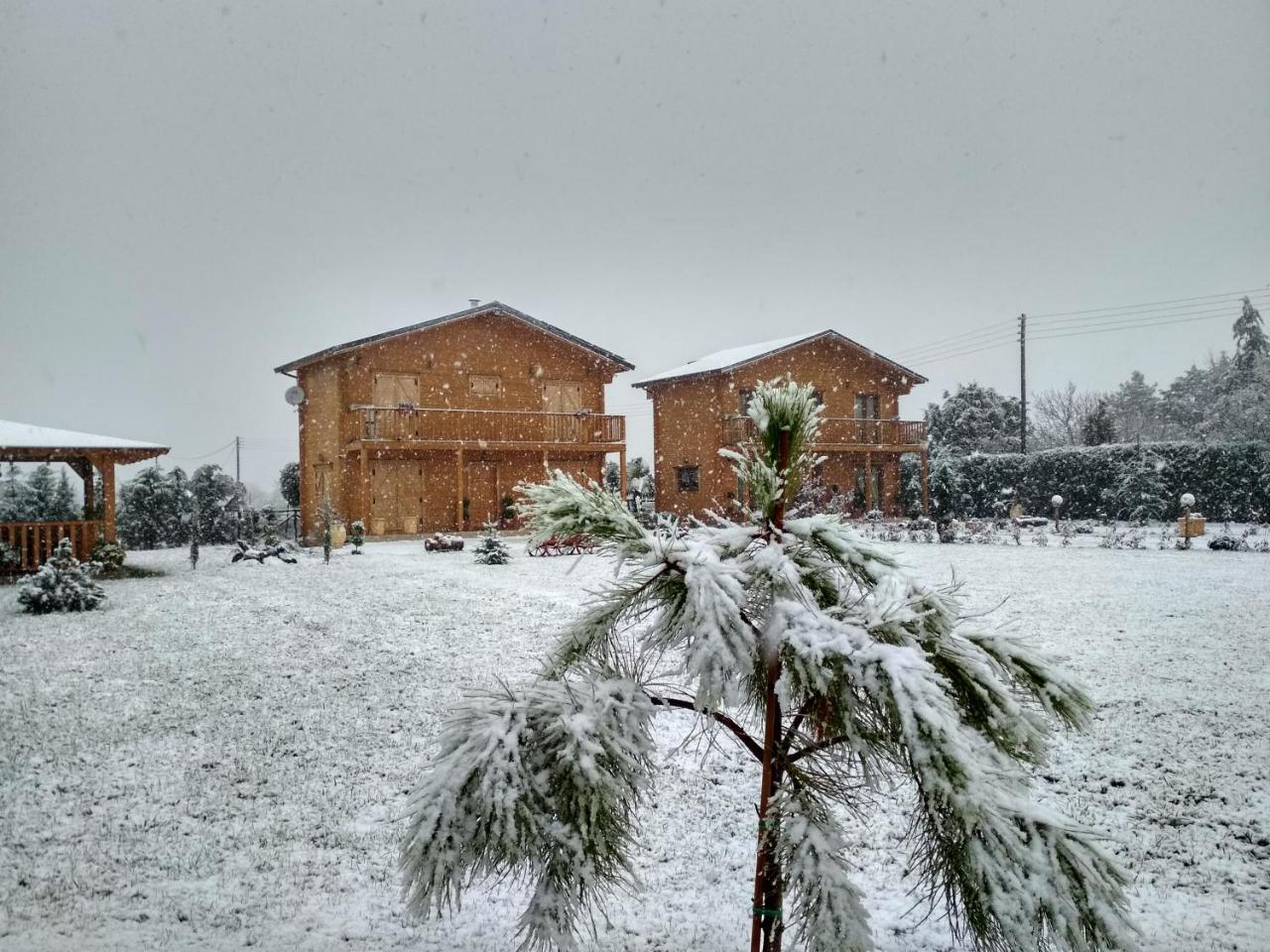 Kastor Chalet Ampelokipoi (Kastoria)