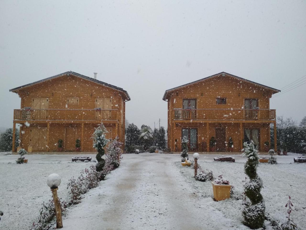 Kastor * Ampelokipoi (Kastoria)