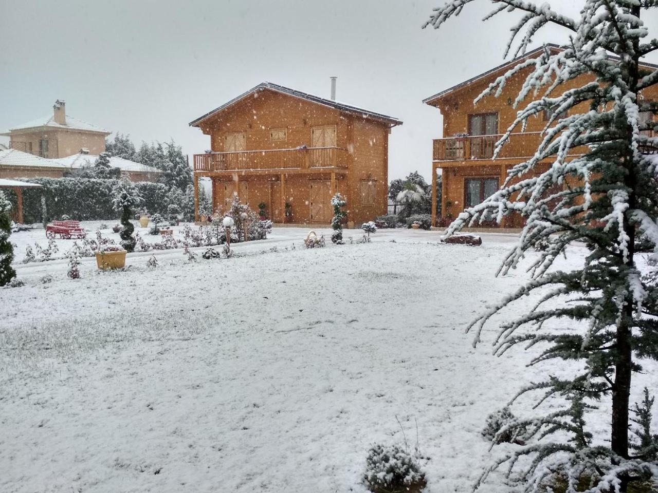 Chalet Kastor Ampelokipoi (Kastoria)