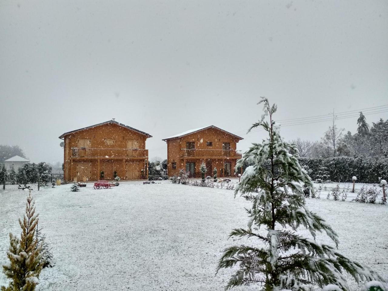 Kastor Ampelokipoi (Kastoria)