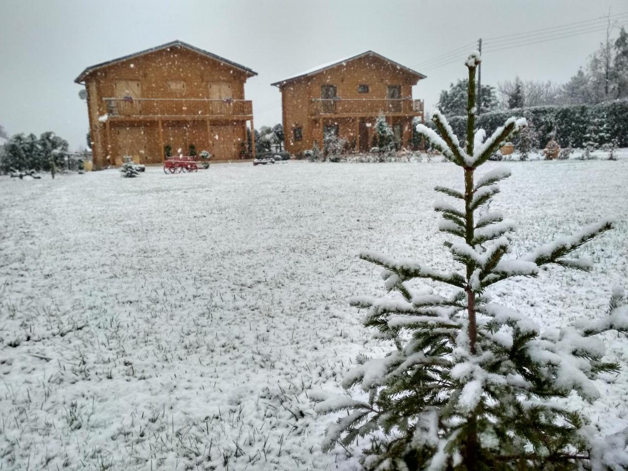 Kastor Chalet Ampelokipoi (Kastoria)