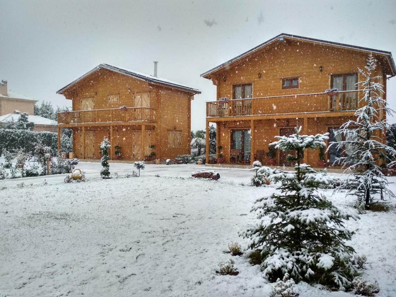 Kastor * Ampelokipoi (Kastoria)