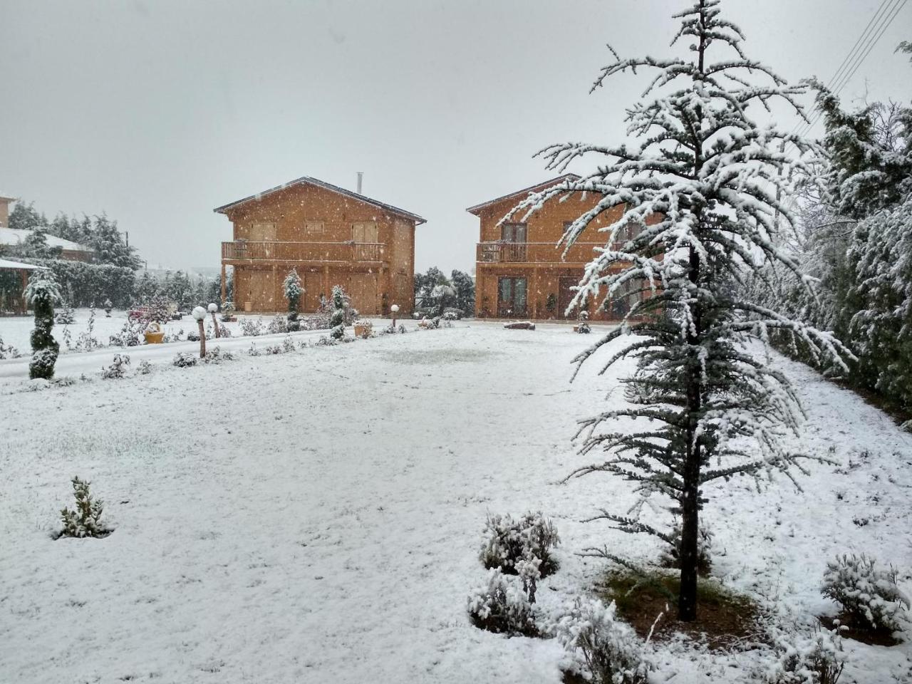 Chalet Kastor Ampelokipoi (Kastoria)