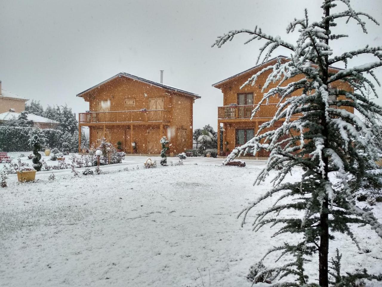 Kastor * Ampelokipoi (Kastoria)